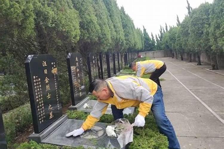 属羊的人在哪年运气最好
