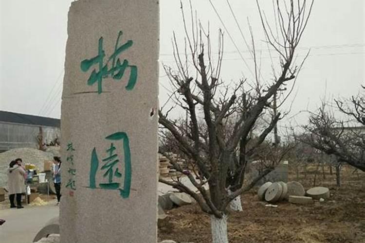 莱州特色小吃