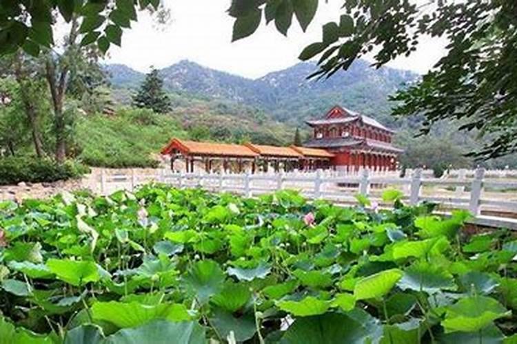 莱州立秋吃什么,莱州景区旅游美食推荐