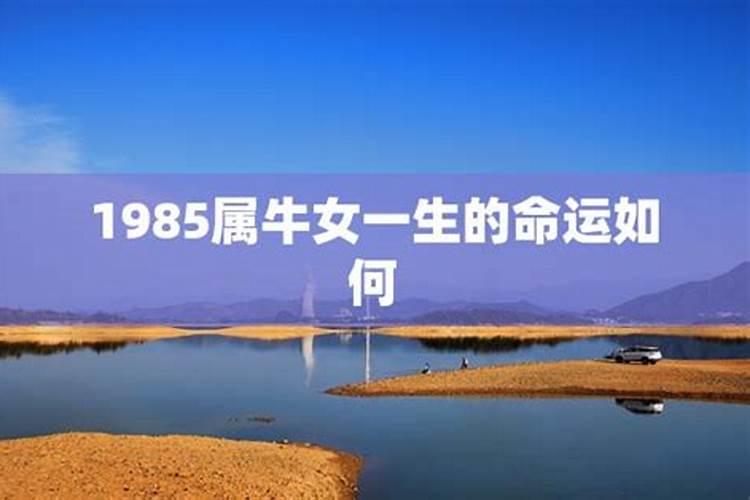 哪位好心人解释一下“伤妻克子”是什么意思啊？