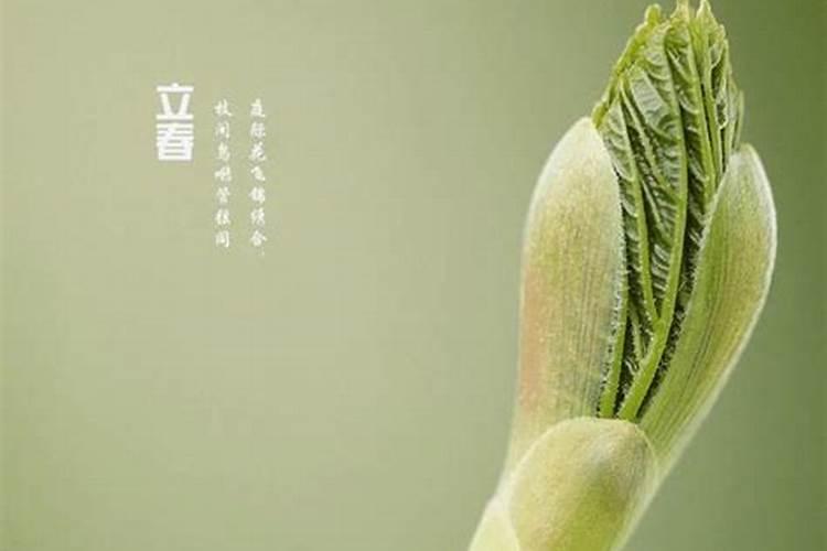 男人梦见拔牙是吉兆
