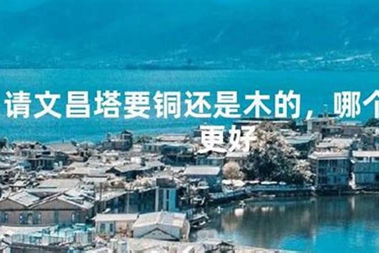 1991年农历2月15出生男属羊是什么命？