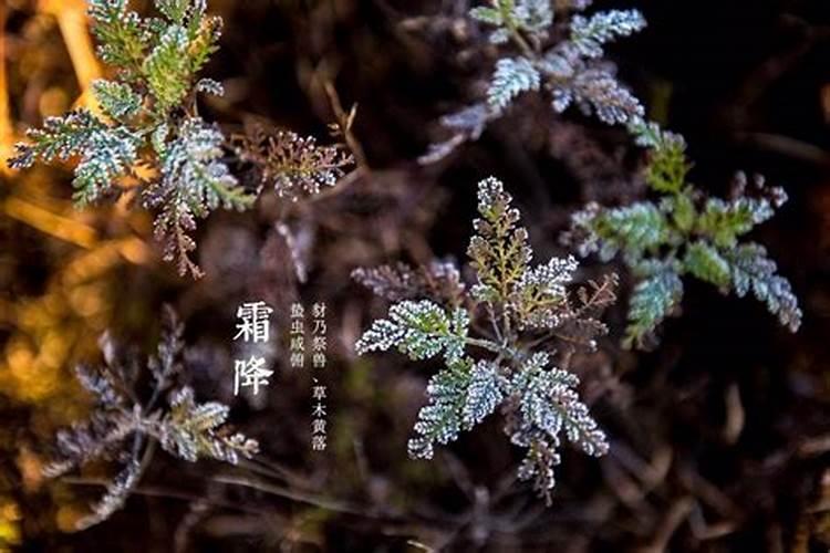 冬至节气谚语