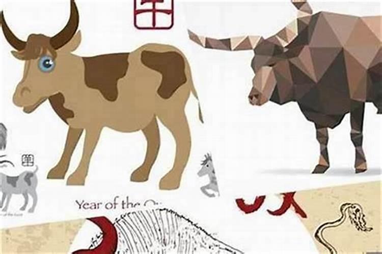 属牛和属羊的八字合吗 能不能结婚？