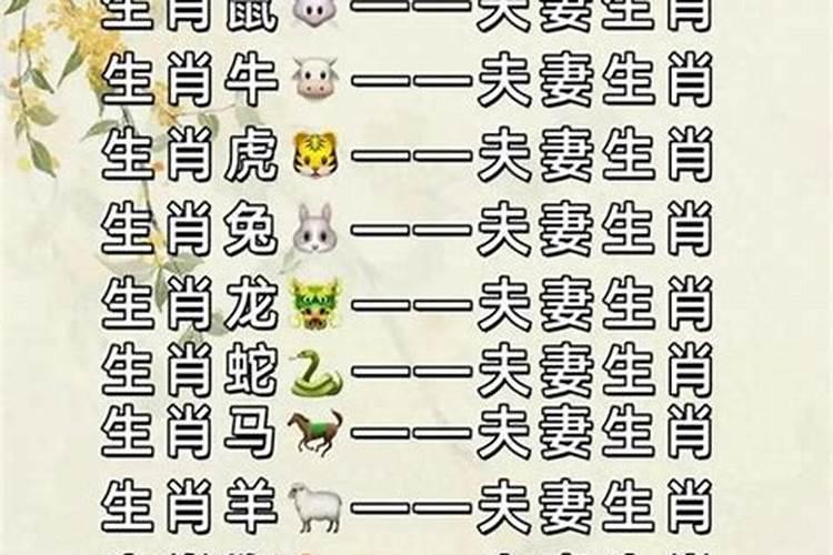 最全的十二生肖婚配表 从姓名看你两配不配