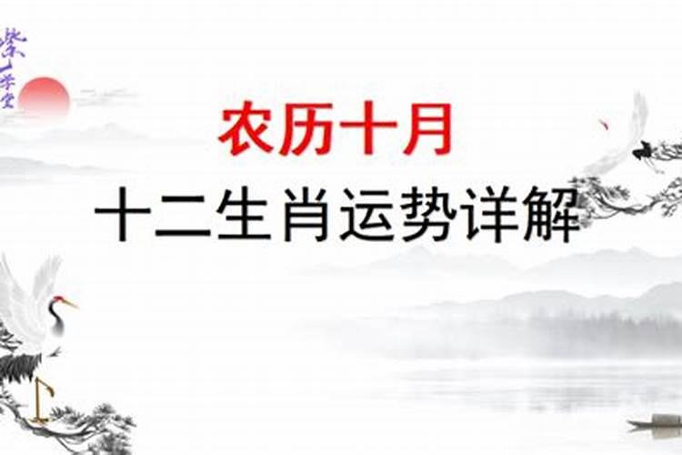 真童子命的三个来源和特征