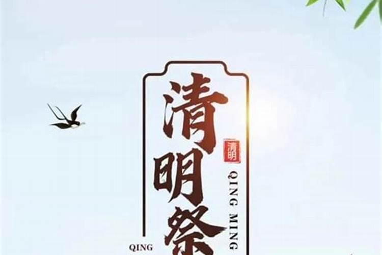 天津清明节云祭扫流程