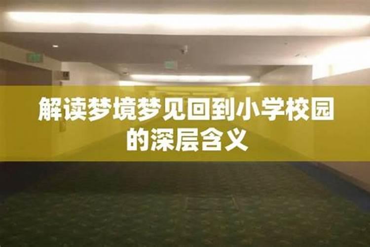 1994年阴历九月初七是什么命？