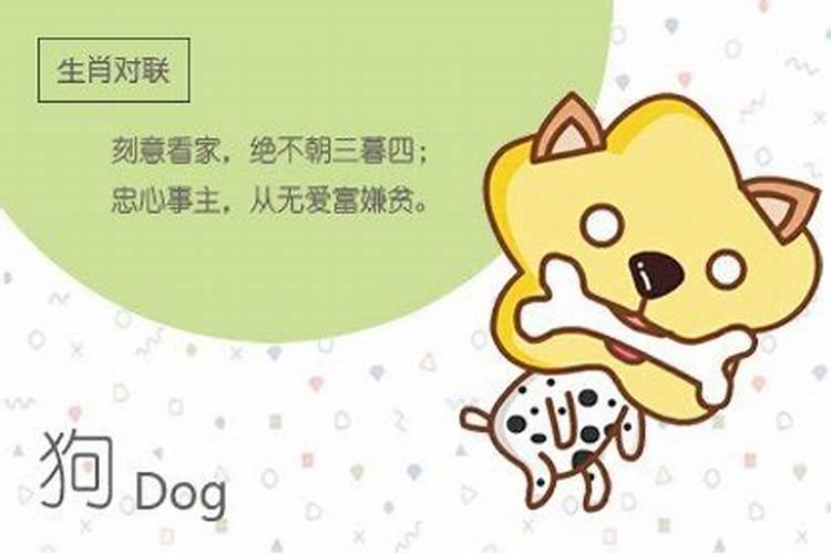 鸡狗八字有合的吗金鸡玉犬破解之法