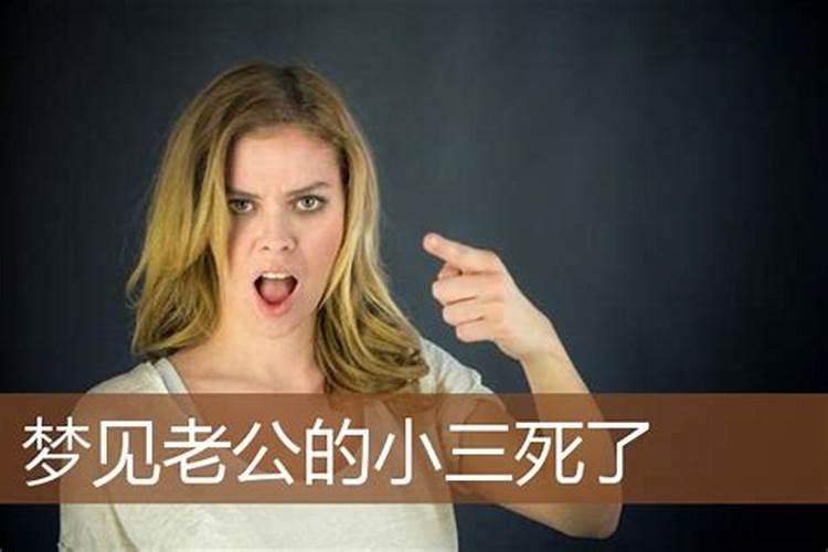 78年属马2024年每月农历运势及运程详解