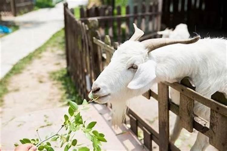 怎么算是八字不合 八字不合指哪里不合