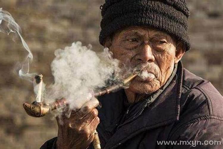 属狗的冲太岁年份,属狗的什么时候犯太岁