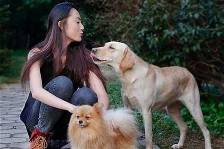孩子的学习成绩与风水有关吗