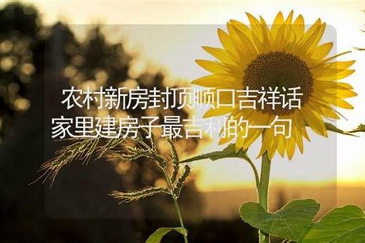 节日习俗