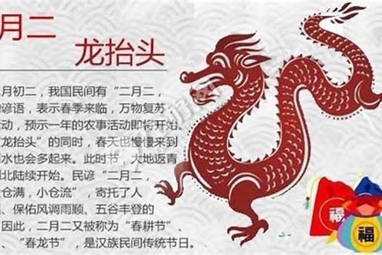 2025属兔人的全年运势如何
