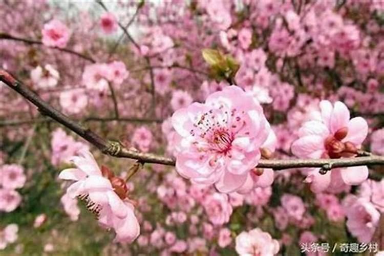 什么是企业家。都谁是企业家？