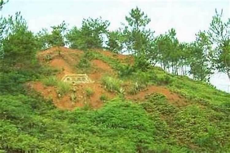 梦见弟媳妈死了