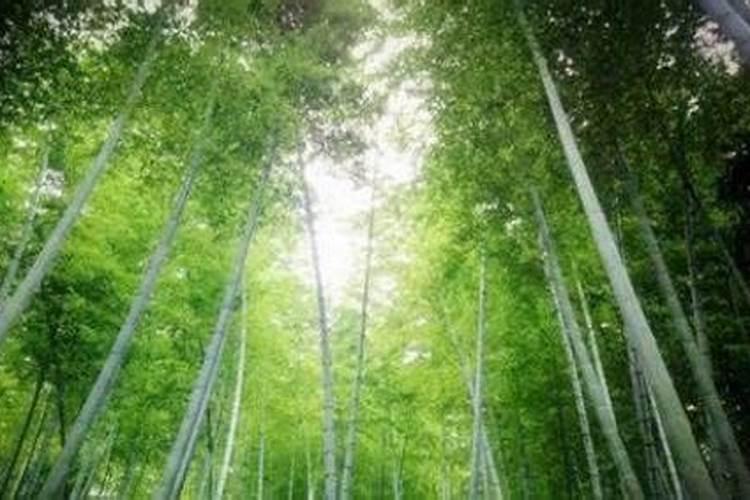 鹰潭哪里秋天最美