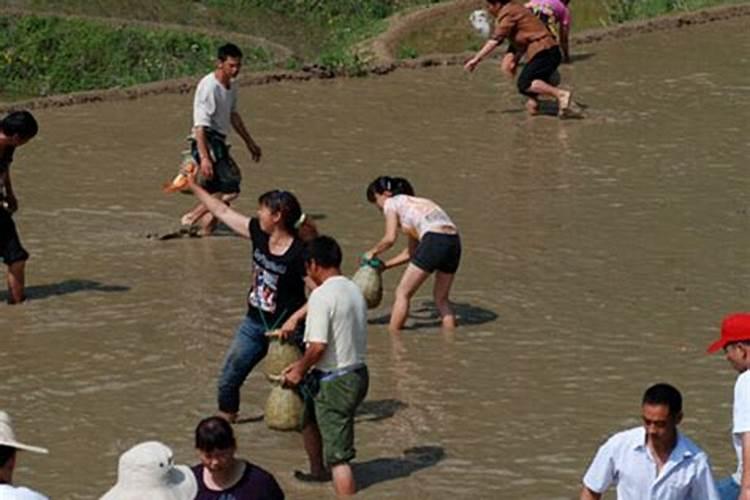 女人梦见浑水是什么预兆