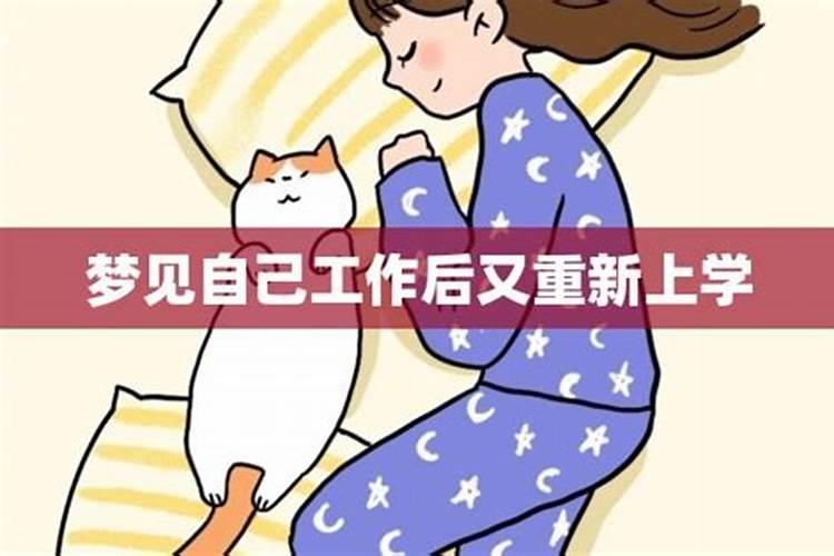 属虎的今年运势