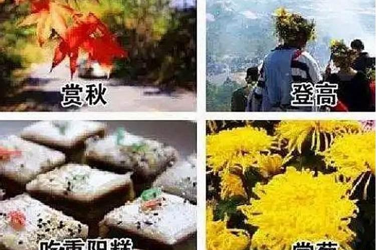 重阳节各地的风俗是什么来历介绍