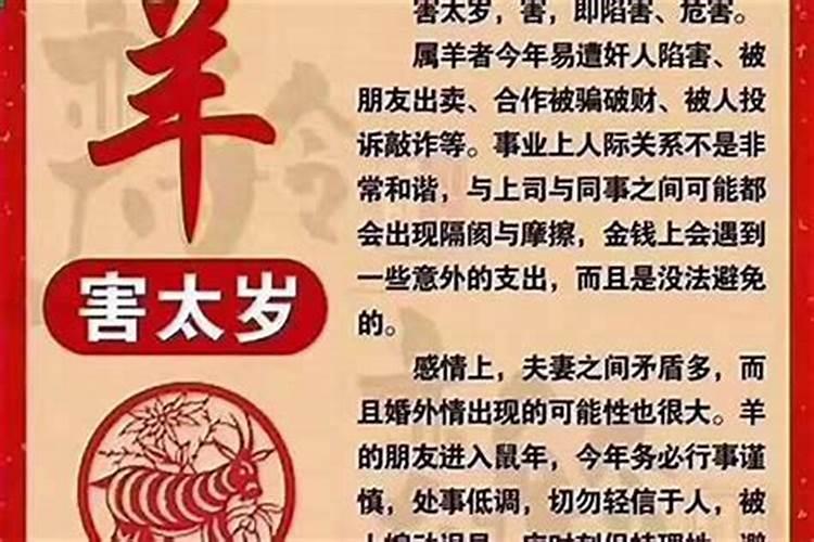 如何查自己是什么命格