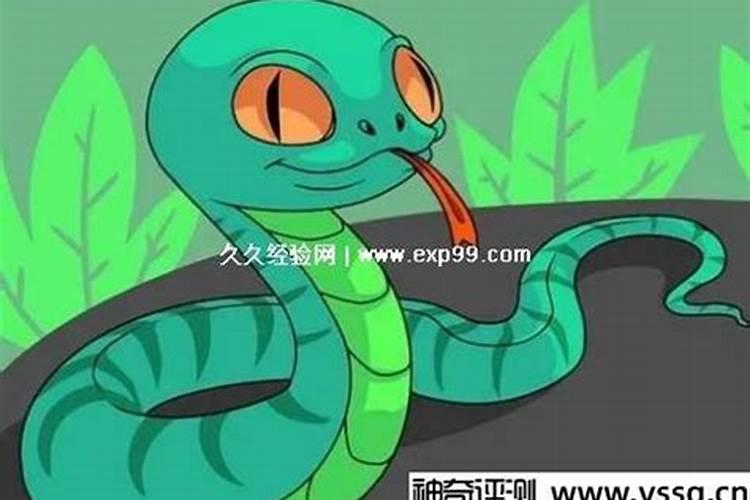男人梦见蛇财运好不好