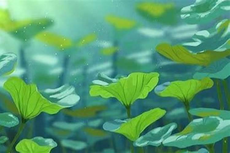 梦见怀了别人的孩子什么意思