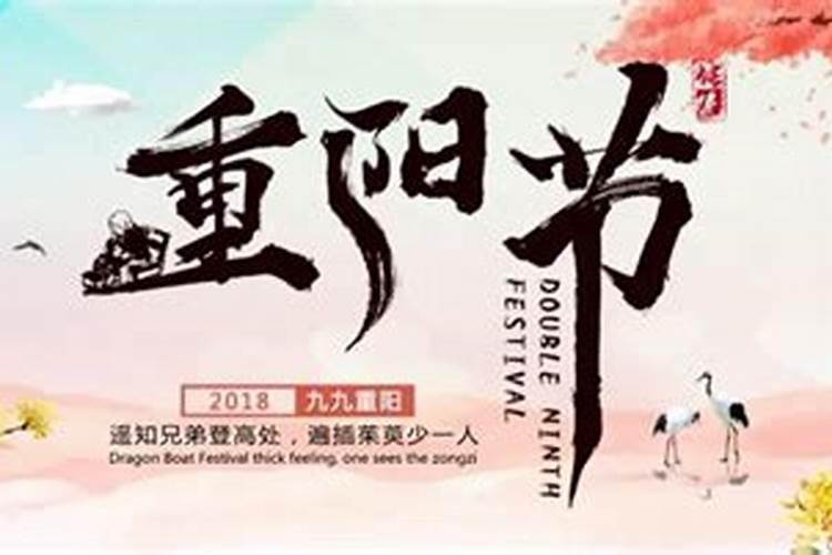 1987年属兔女2024年运势及每月运势如何