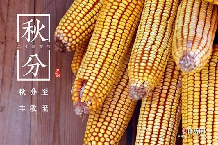 属鼠的和什么属相最配 属鼠的属相婚配表