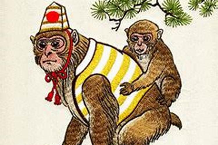 56年属猴人的健康,属猴人今年身体怎么样