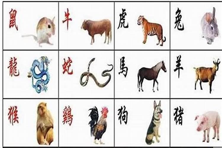 1963年闰四月出生的人一生运势如何？