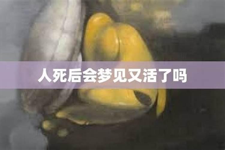 做梦见自己的亲人好不好