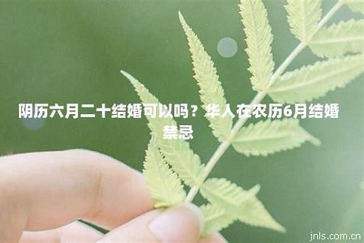 农历6月20男龙和8月女马相配嘛,请教下各位大师,求解!