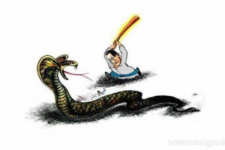 梦到蛇打死是什么意思？
