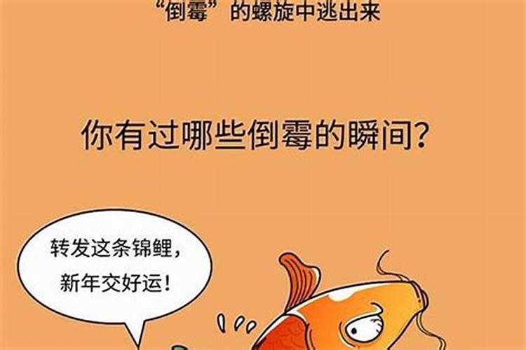 1971年的猪2025年运势如何？