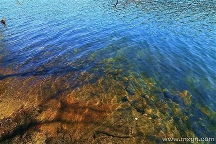 梦见平静的湖水的预兆