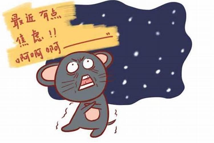 男属鼠找什么属相较好 男属鼠和什么属相较配