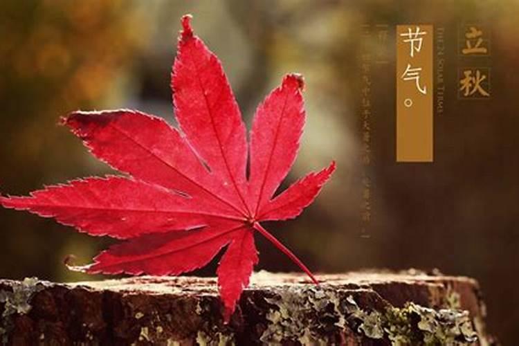 发朋友圈立秋的句子