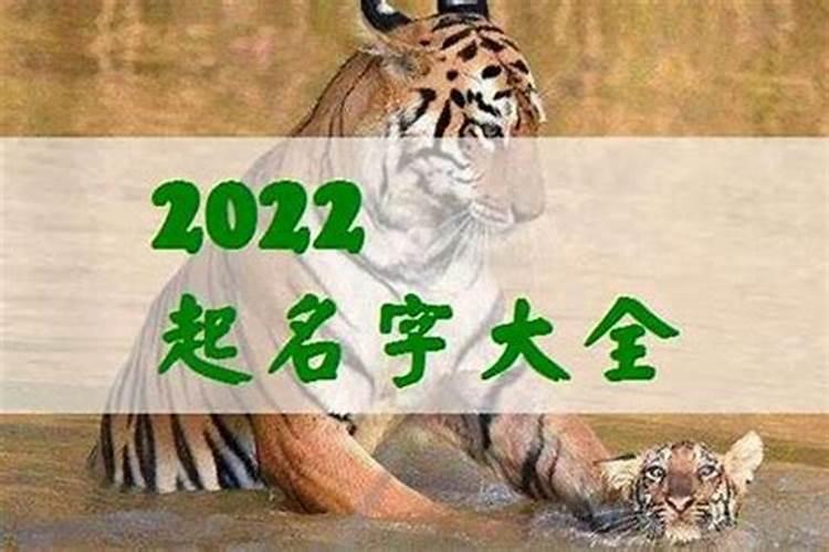 2023年元宵节出生的宝宝乳名 元旦宝宝小名寓意好的