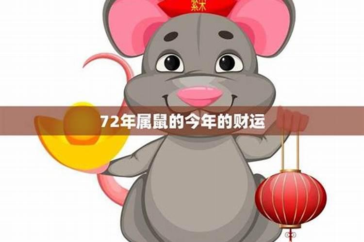 72女鼠人今年下半年运程,72年属鼠的运程