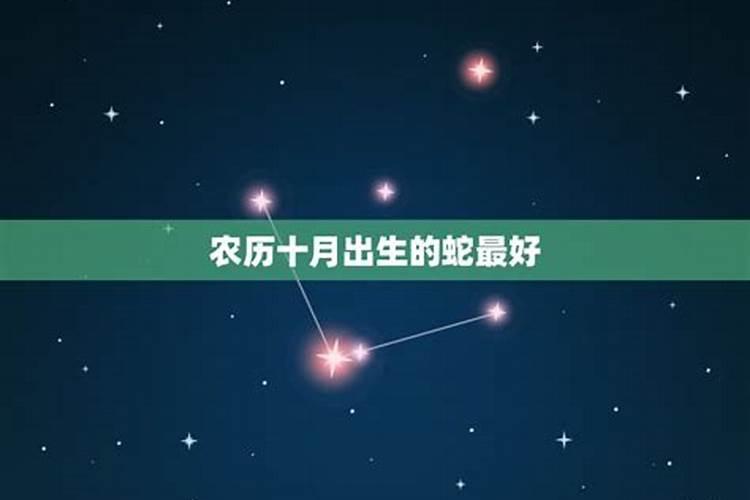 怎么查命里有没有童子