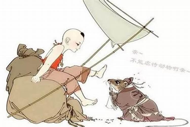 什么样的人命短
