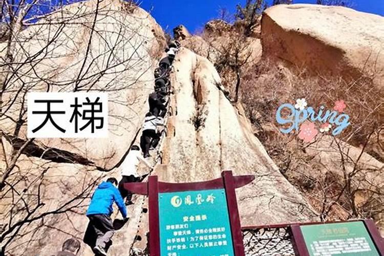 工作老是不顺为什么