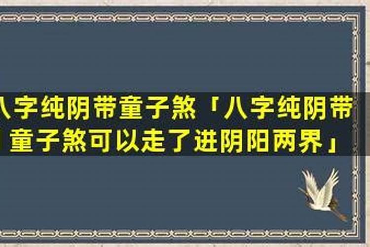 关于冬至的演讲稿 谢谢急用!!!