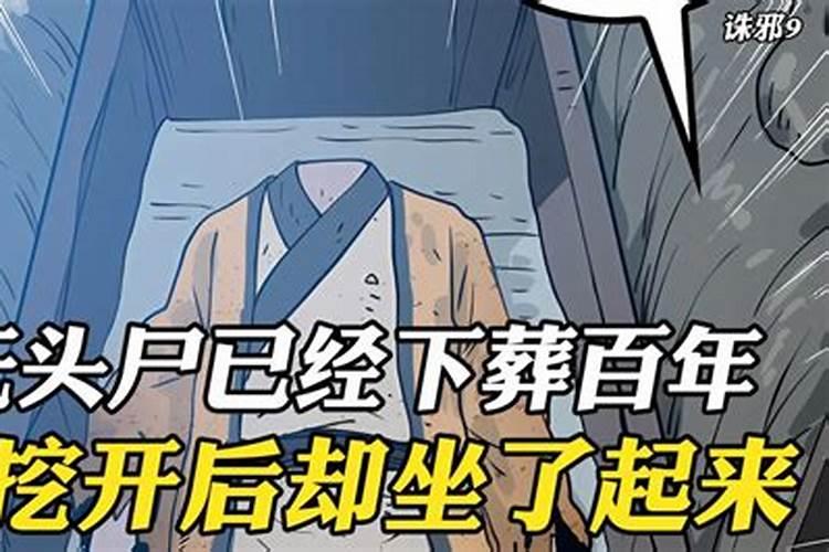 属马的今年运气