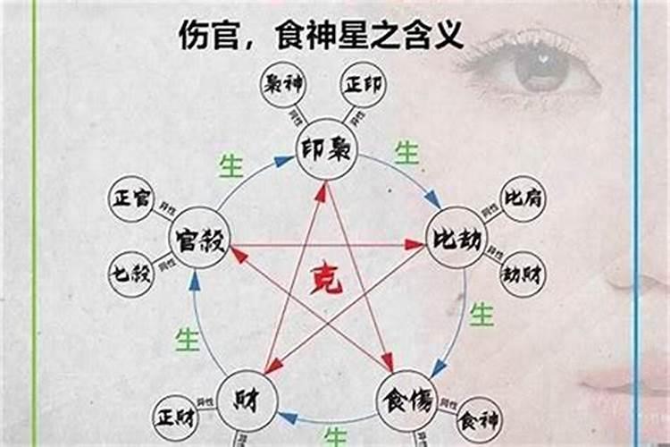 怎么查自己八字十神