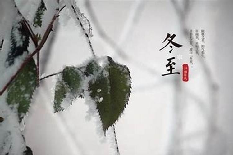 什么属相在一起最好