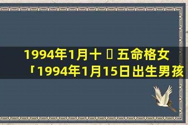 生肖狗2024年运势及运程 不同年份出生的属狗人命运