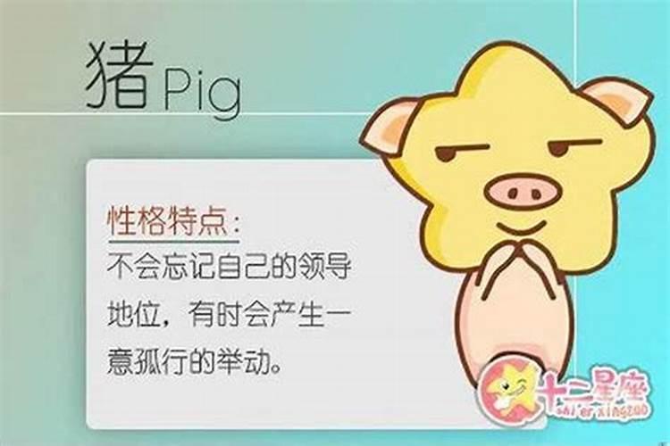 95年属猪女2024年每月运势